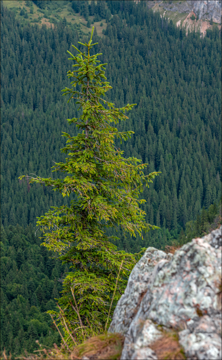 LaculRosu PiatraNeamt 27 31aug2021 150