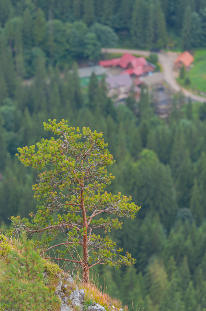 LaculRosu PiatraNeamt 27 31aug2021 169