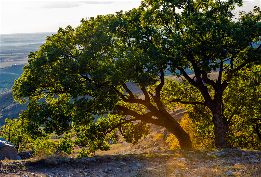 Munti Macin 121719 321