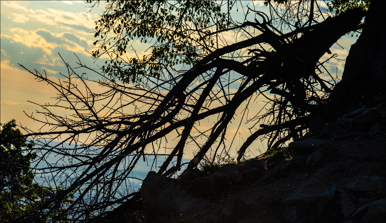 Munti Macin 121719 329