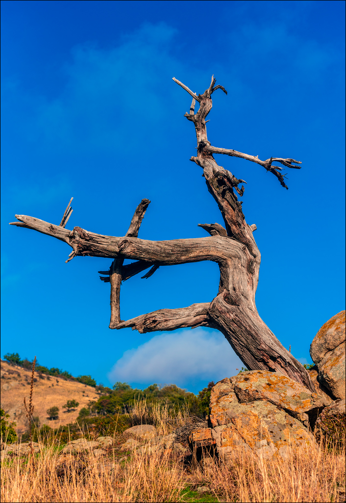 Munti Macin 121819 353