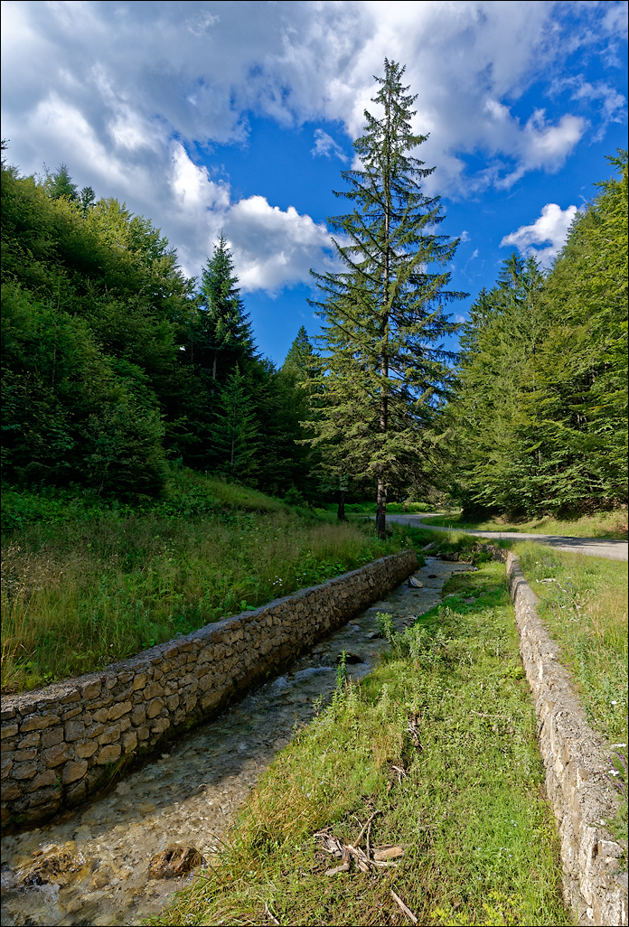 PiatraCraiului2016016