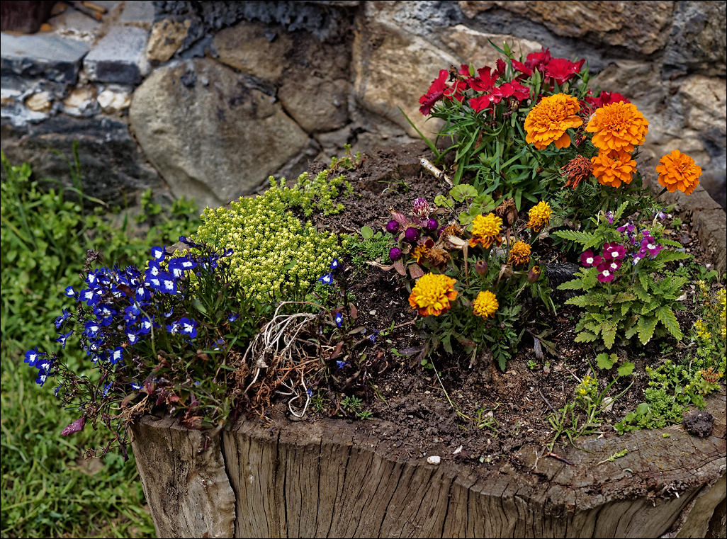 PiatraCraiului2016044