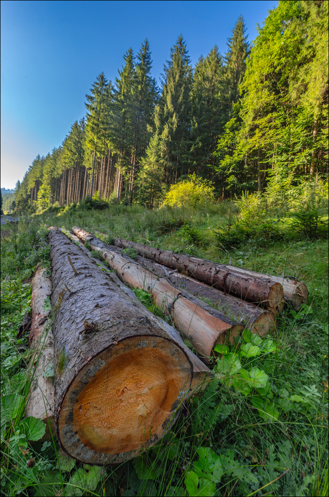 Rarau 25 26aug2023 104