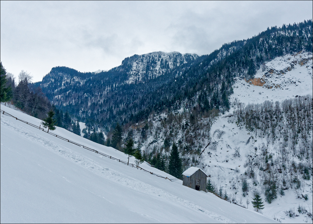 PetrosuMare 20172017020604