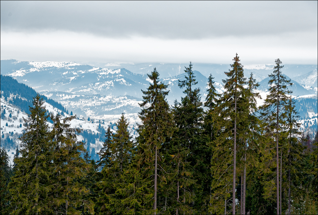 PetrosuMare 20172017020732