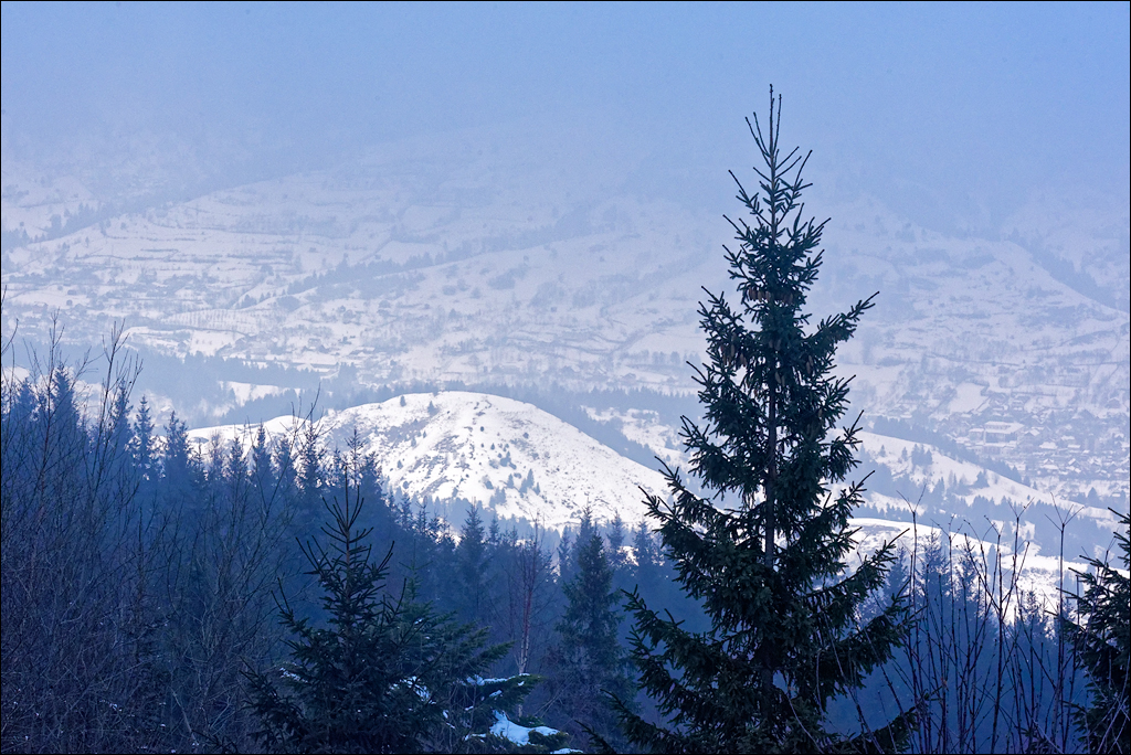 PetrosuMare 20172017020767