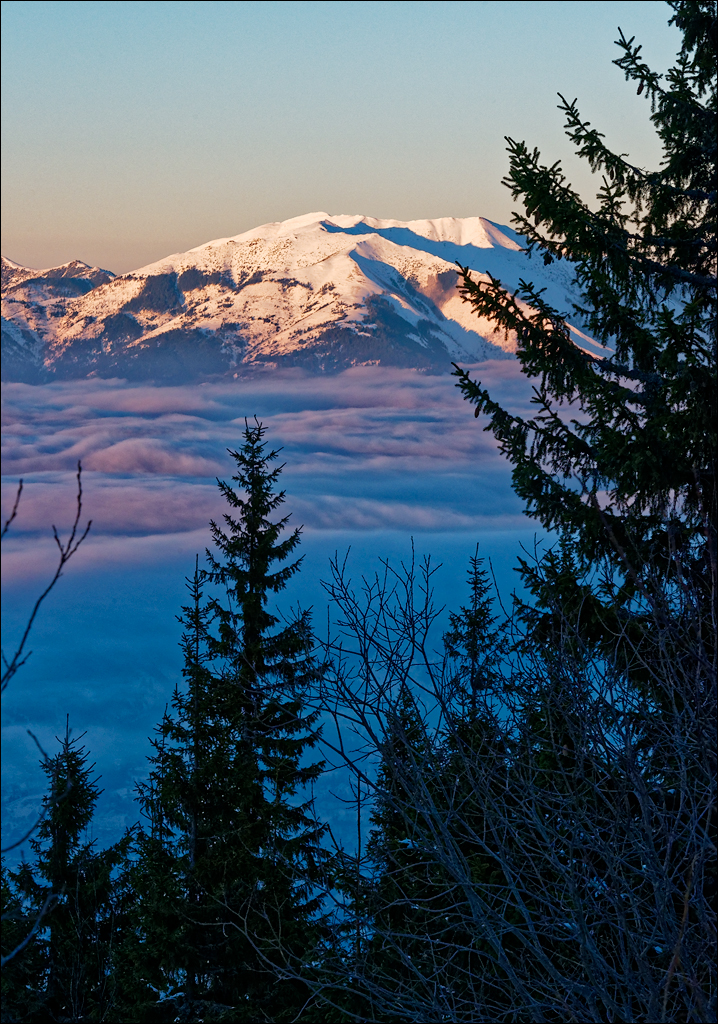 PetrosuMare 20172017020776