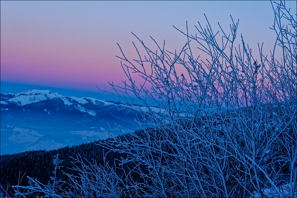 PetrosuMare 20172017020780