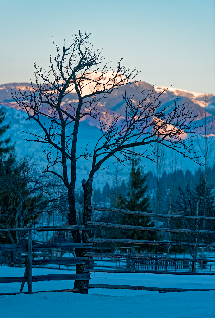 PetrosuMare 20172017021064