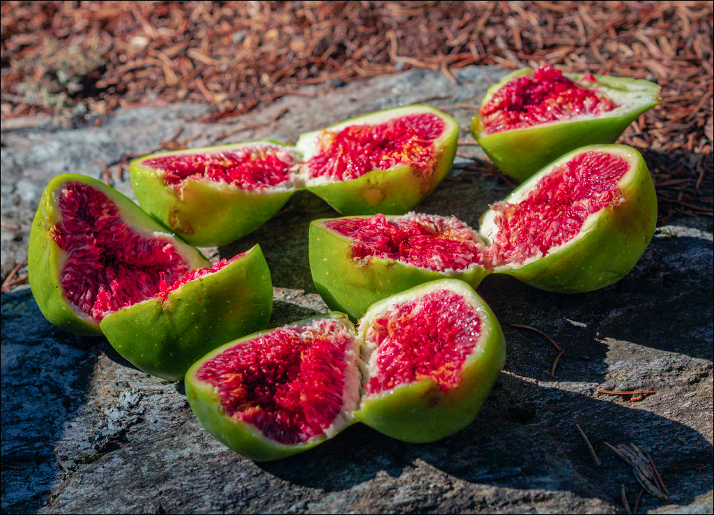 Rodnei Petrosu 20180805004