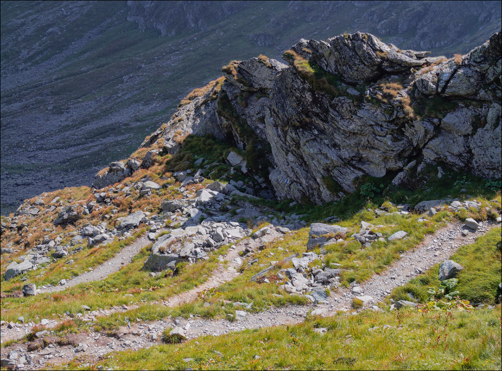 Rodnei Petrosu 20180805072