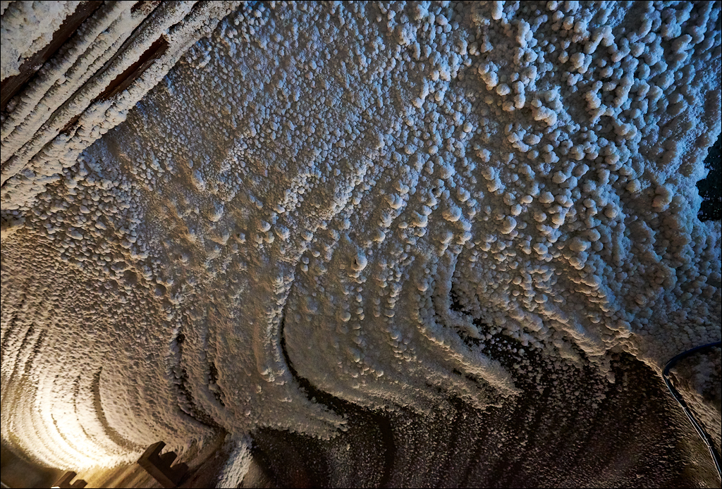 CheileTurzii 2017 209209