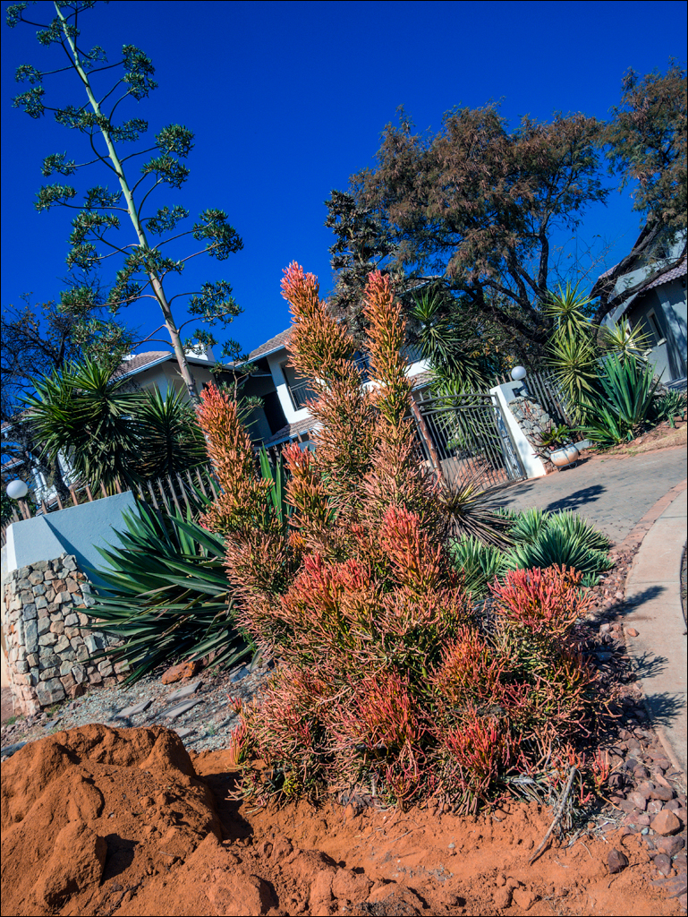 Pretoria 1 20150808012