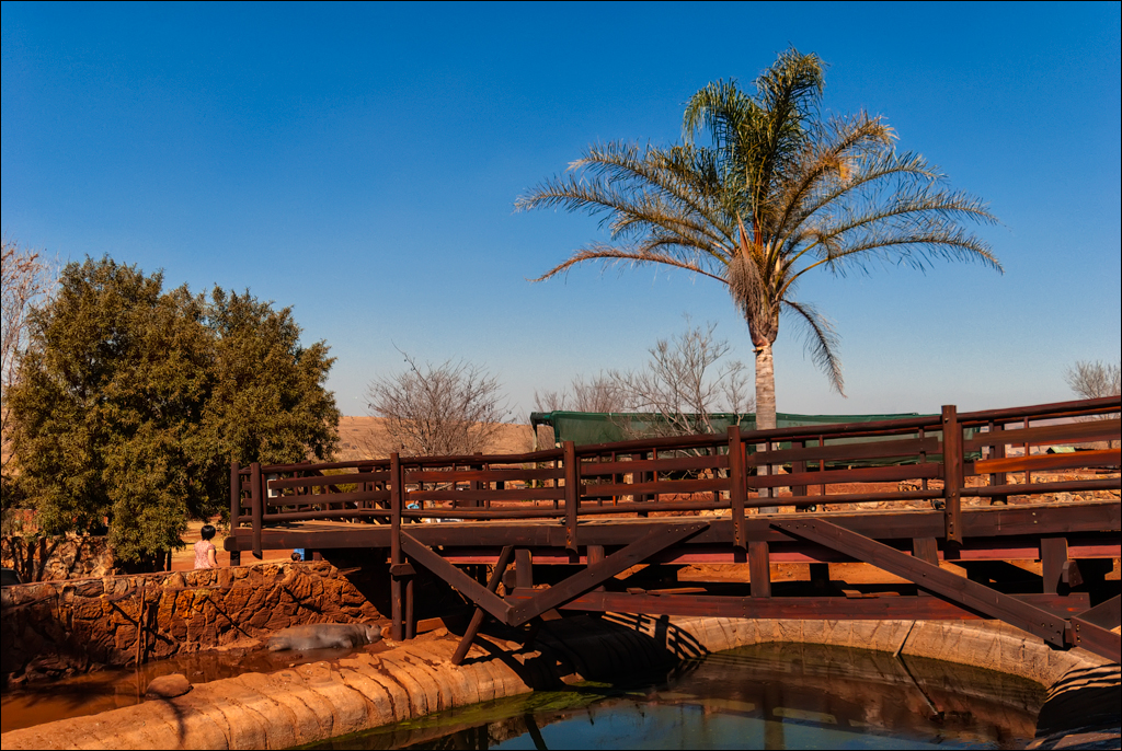 Pretoria 1 20150808033