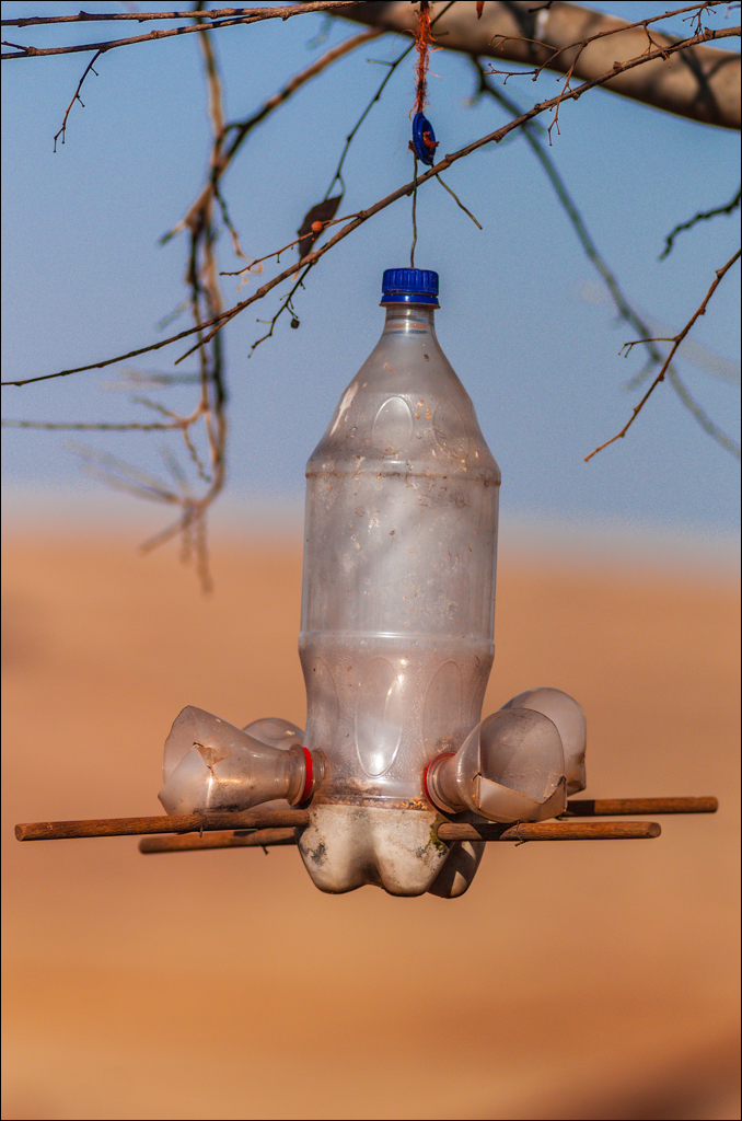 Pretoria 1 20150808066