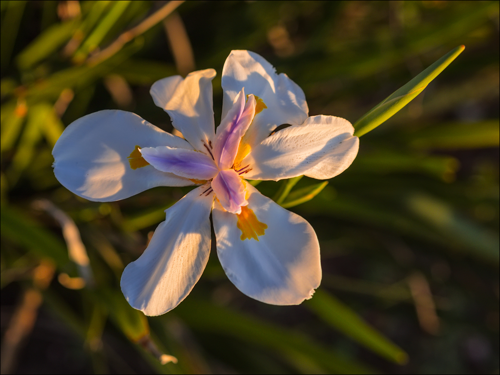 Pretoria 1 20150808115