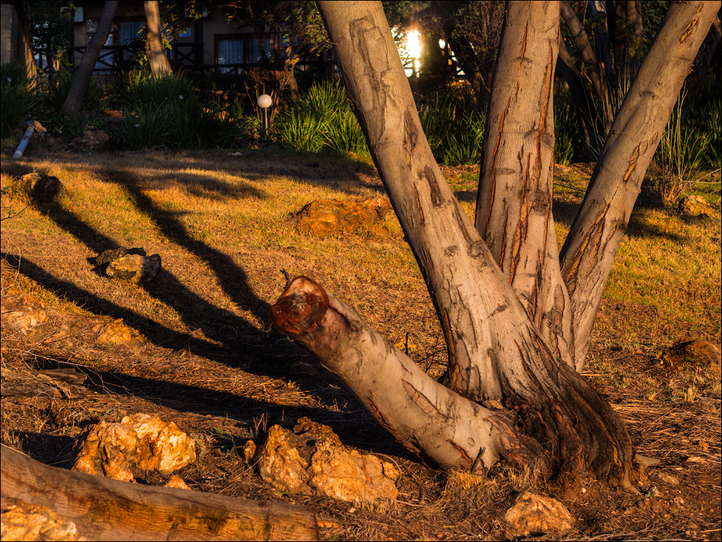 Pretoria 1 20150808119