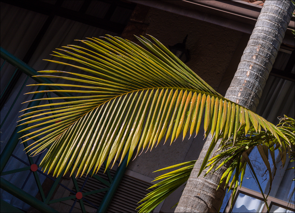 Pretoria 2 20150808125