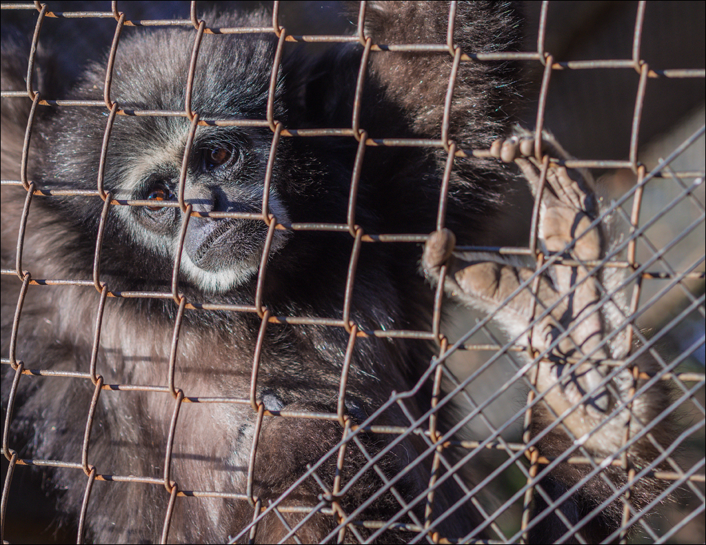 Pretoria 3 20150808081