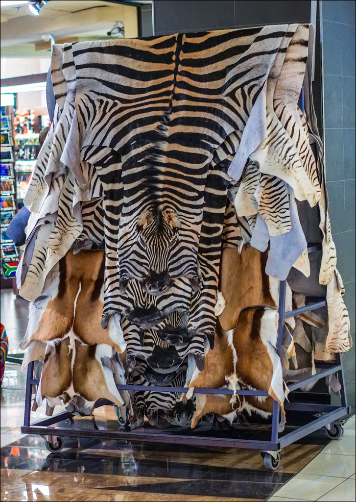 Pretoria 3 20150808134