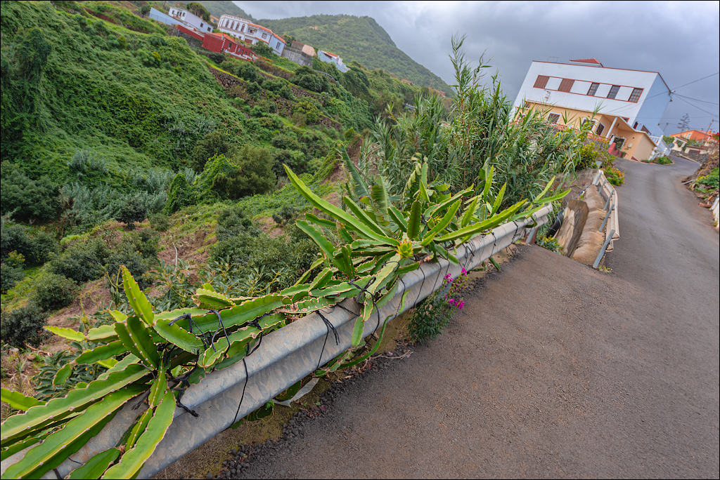 La Palma 27 28dec2022 127