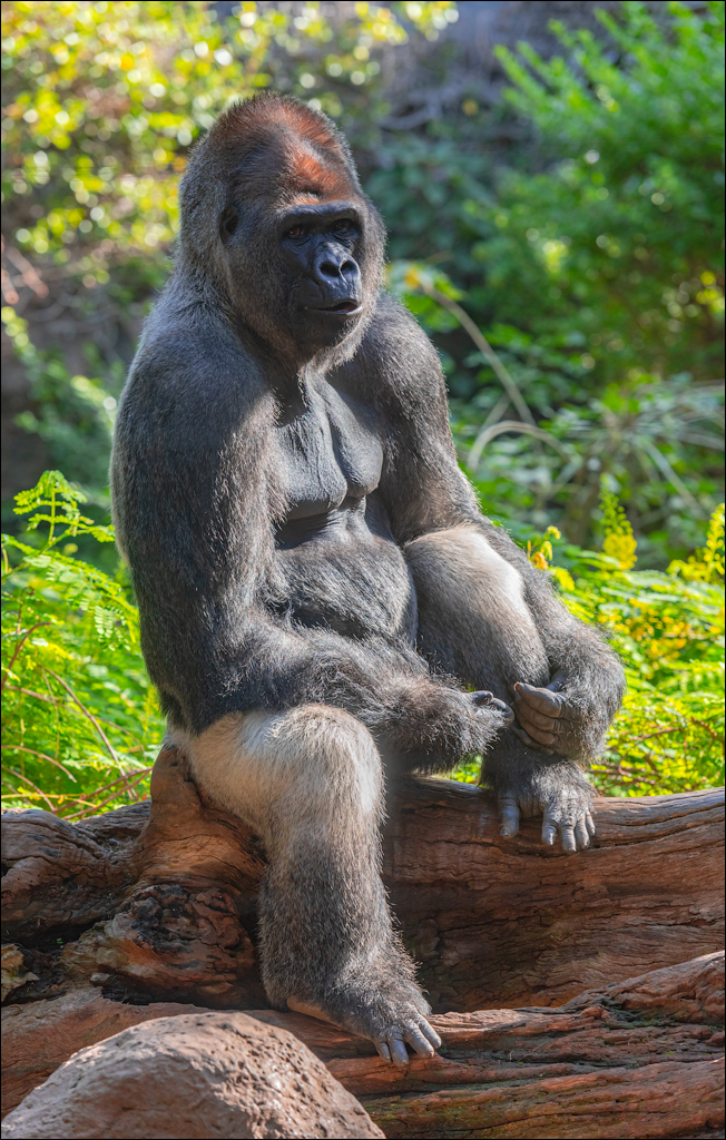 PuertoDeLaCruz 31dec 01jan2023152