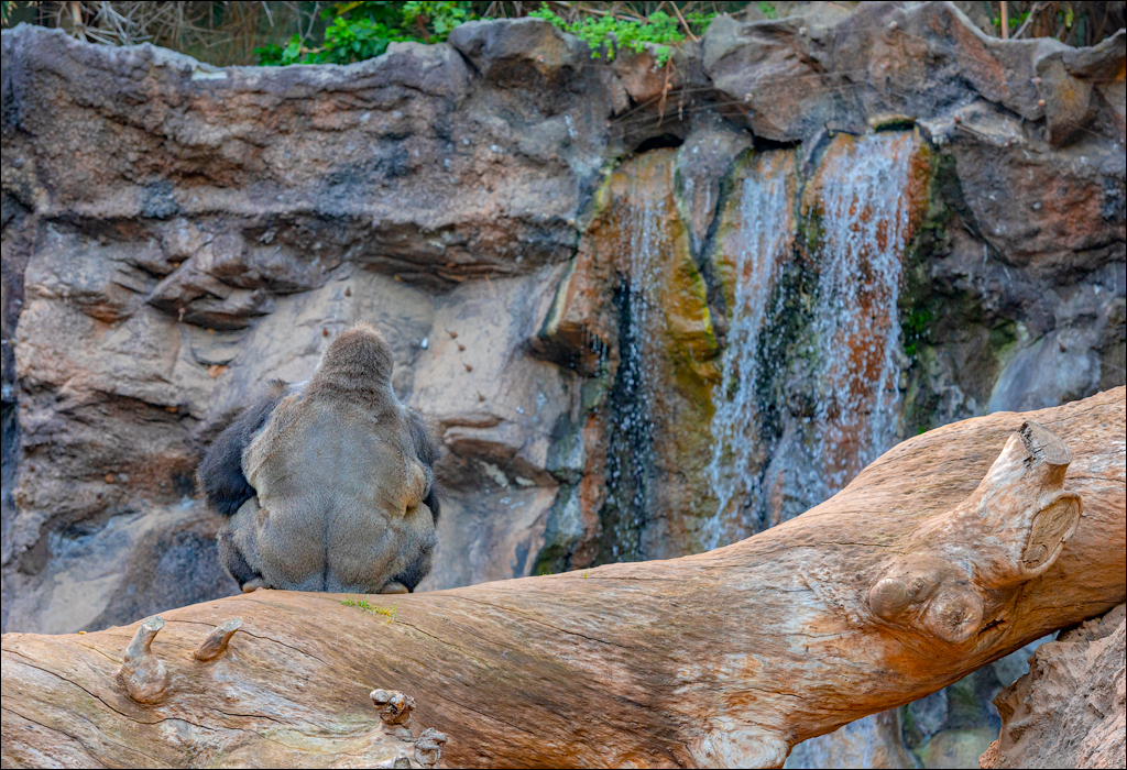 PuertoDeLaCruz 31dec 01jan2023153