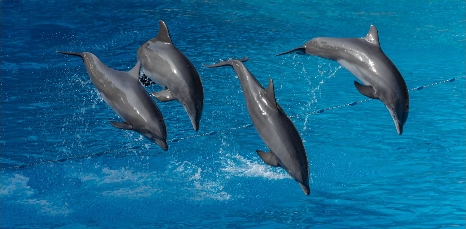 PuertoDeLaCruz 31dec 01jan2023164