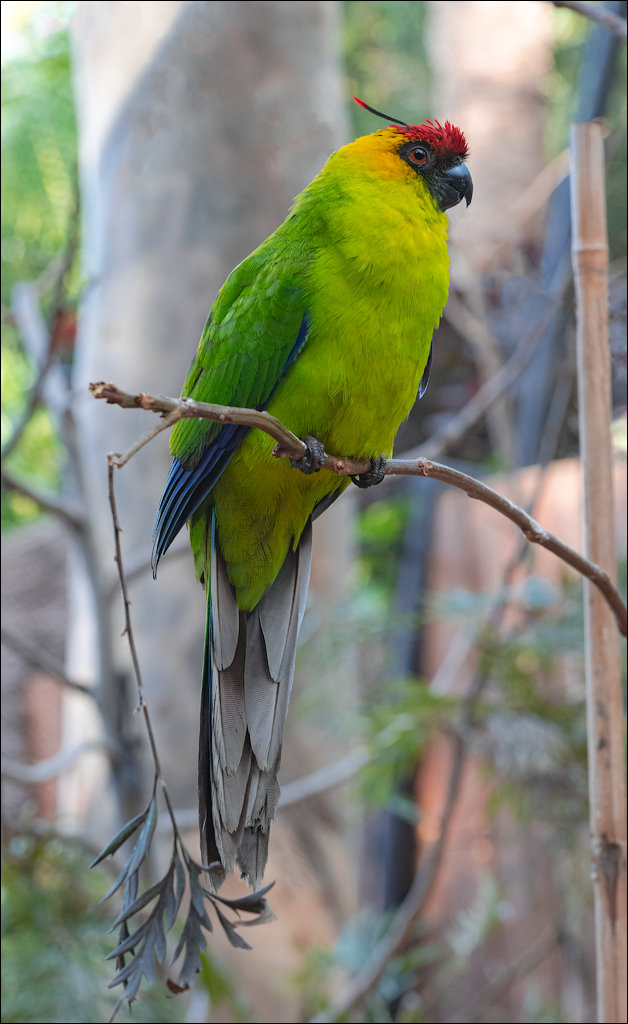 PuertoDeLaCruz 31dec 01jan2023173
