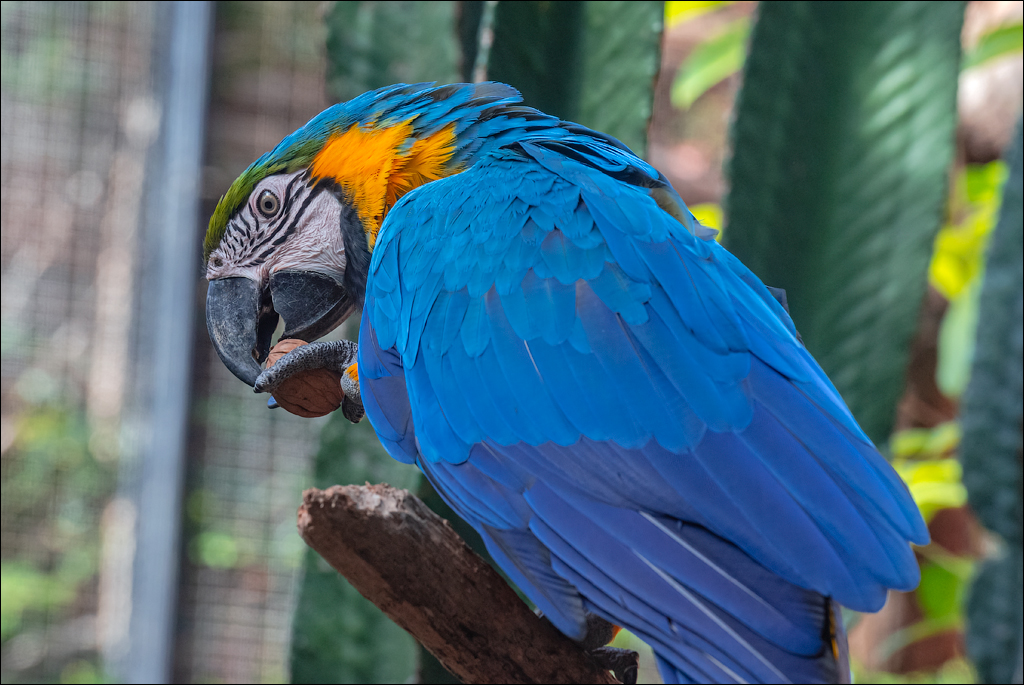 PuertoDeLaCruz 31dec 01jan2023175