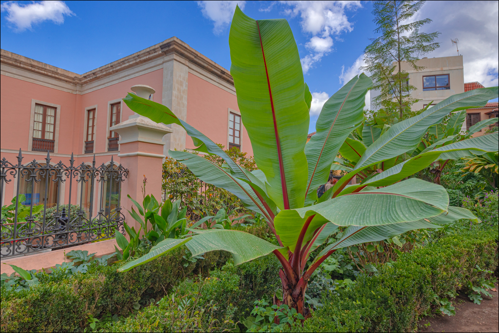 Saint Augustine 30dec2023 129