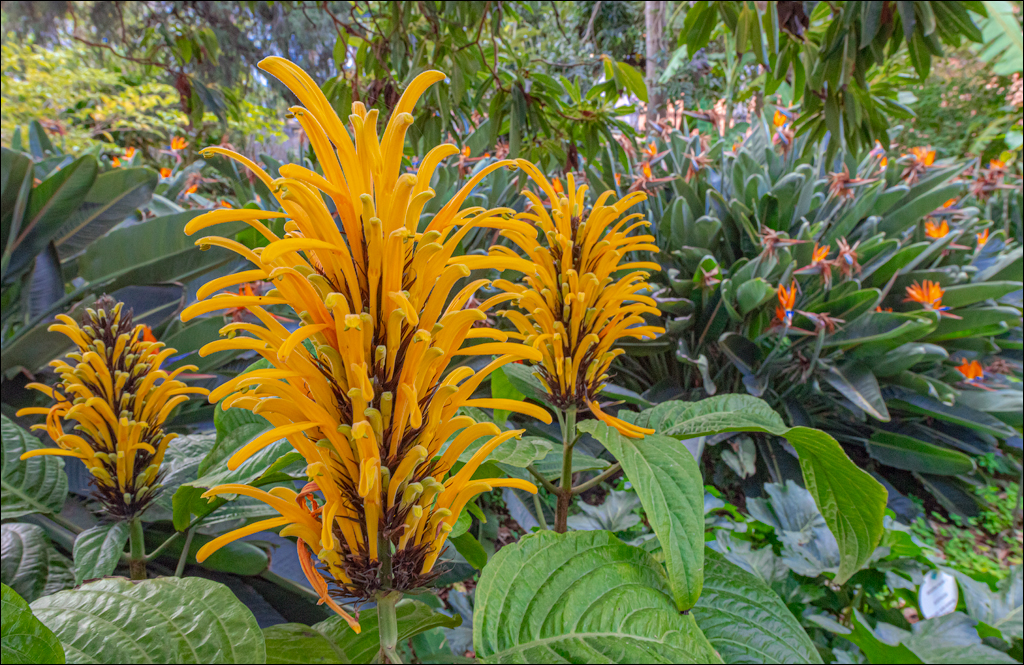 Saint Augustine 30dec2023 130