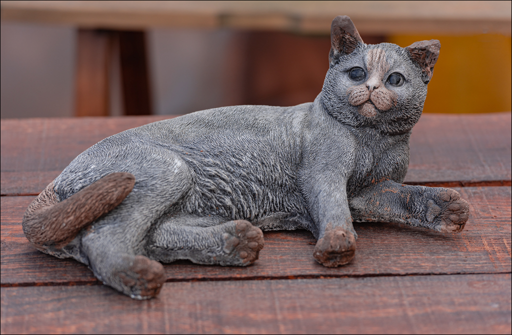 Saint Augustine 30dec2023 137