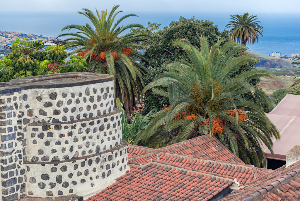 Saint Augustine 30dec2023 151