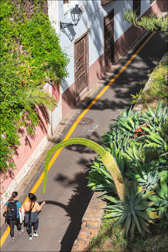 Saint Augustine 30dec2023 163