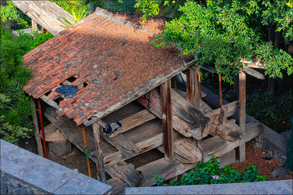 GarachicoLosVinos 31dec2023 138