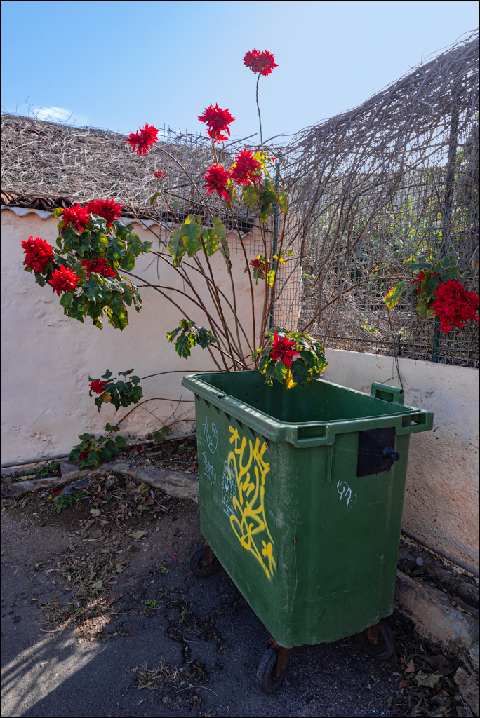PiscinasElGuindaste PlayaLosRoques 01jan2023 102