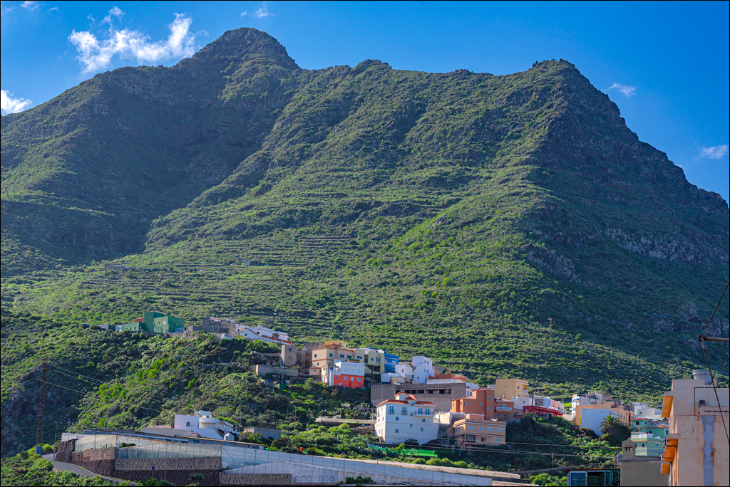 PuntaDelHidalgo 07jan2023 101