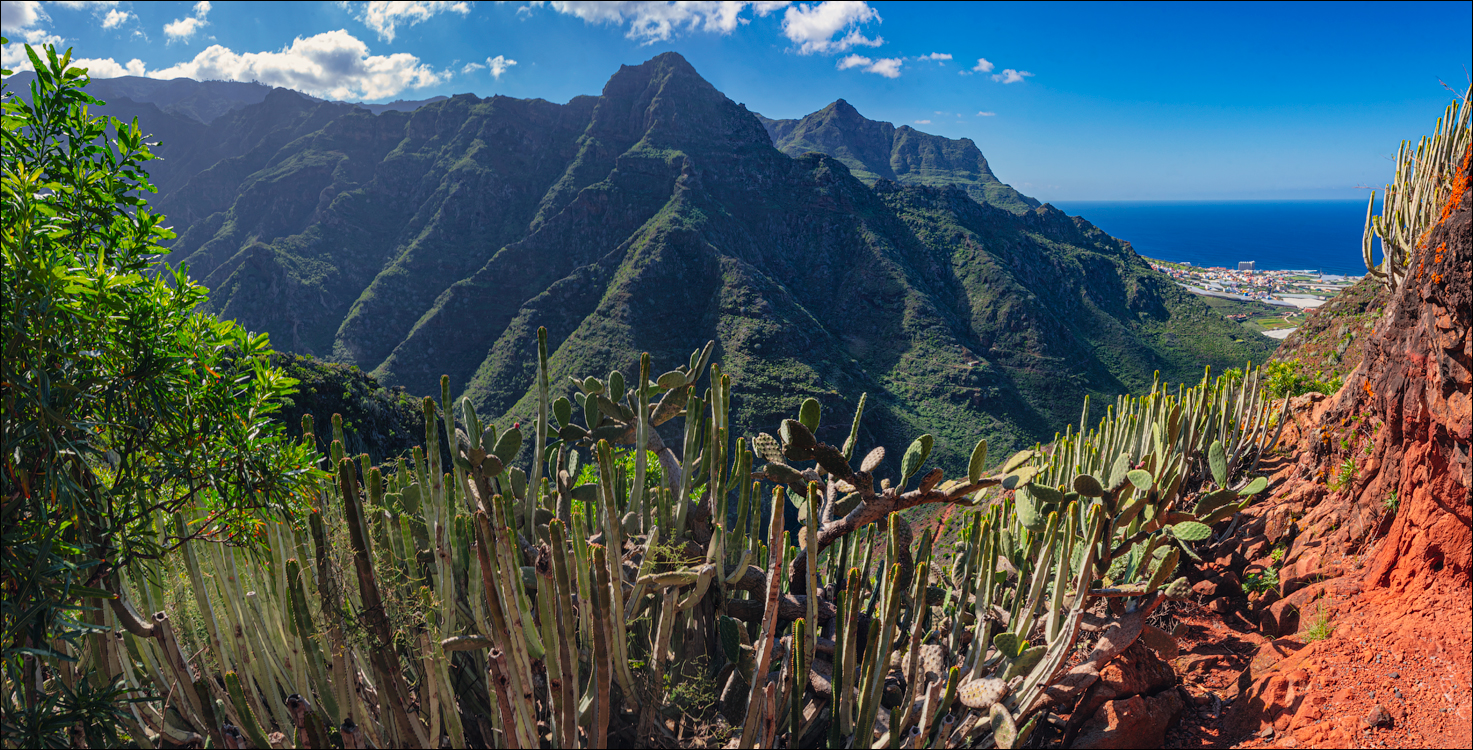 PuntaDelHidalgo 07jan2023 124