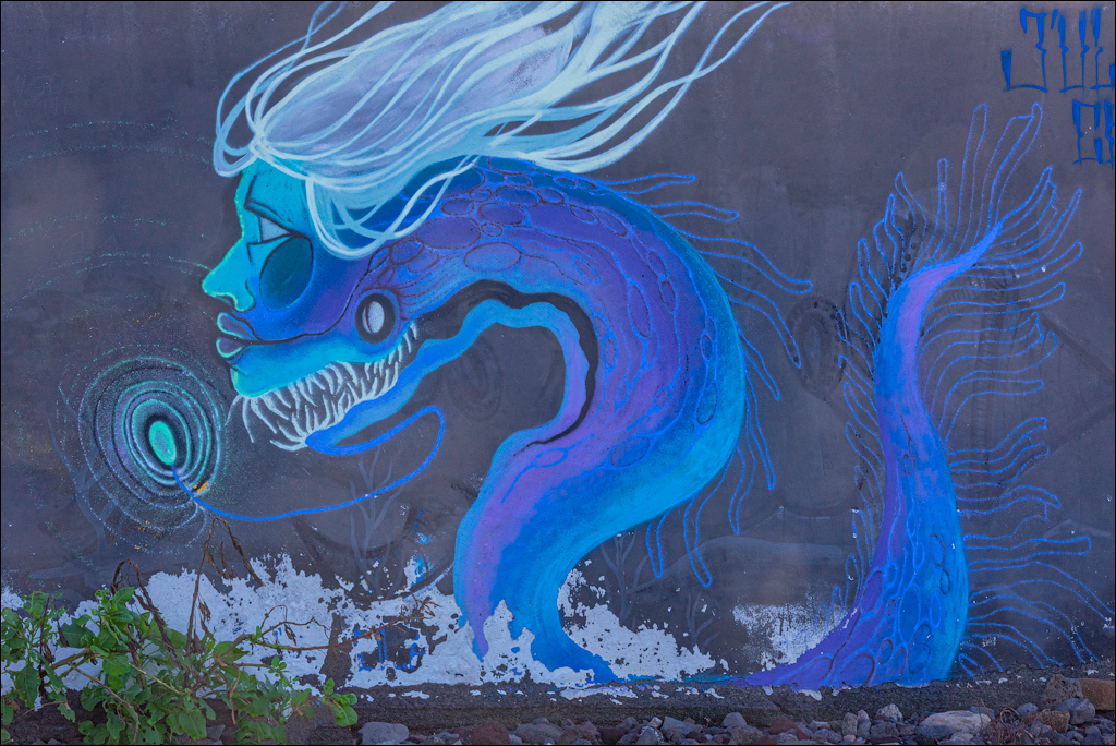 PuntaDelHidalgo 07jan2023 131