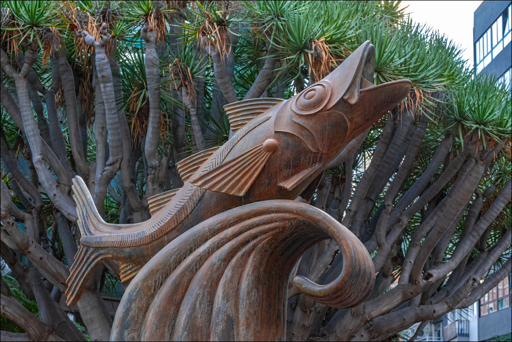 SantaCruzDeTenerife 07 08jan2023 114