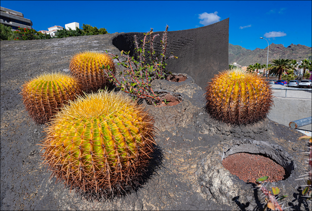 SantaCruzDeTenerife 07 08jan2023 136