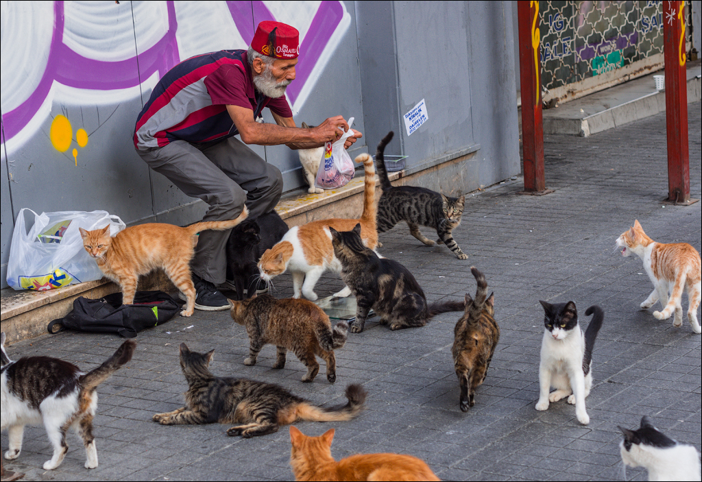 Istanbul 2015 20150815030