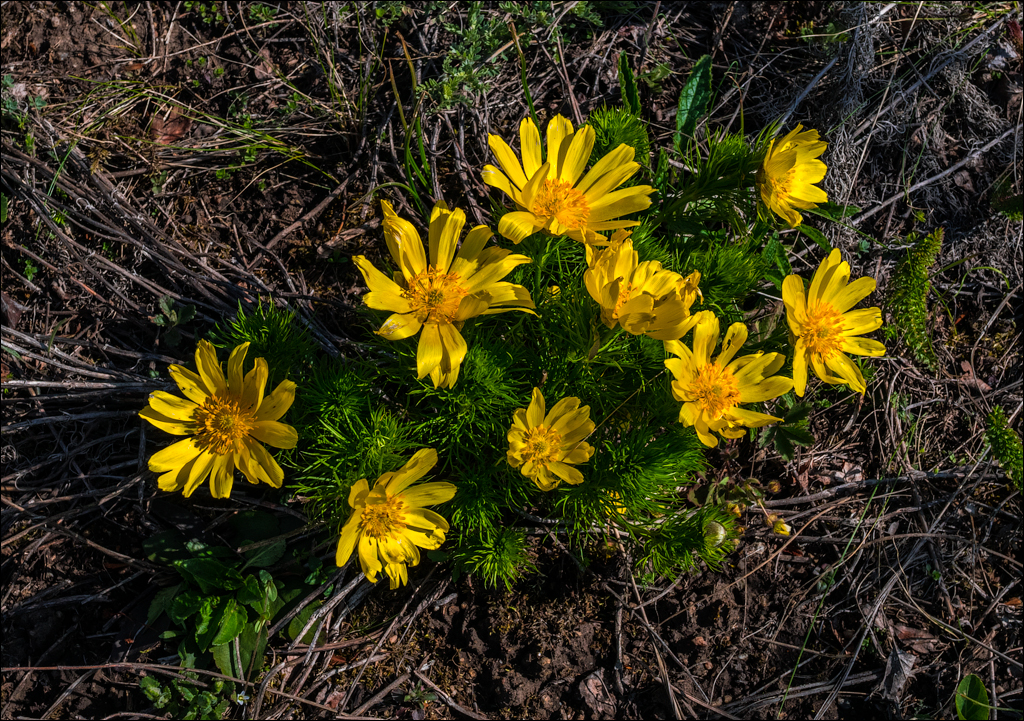 Aktov Canyon 20190420092