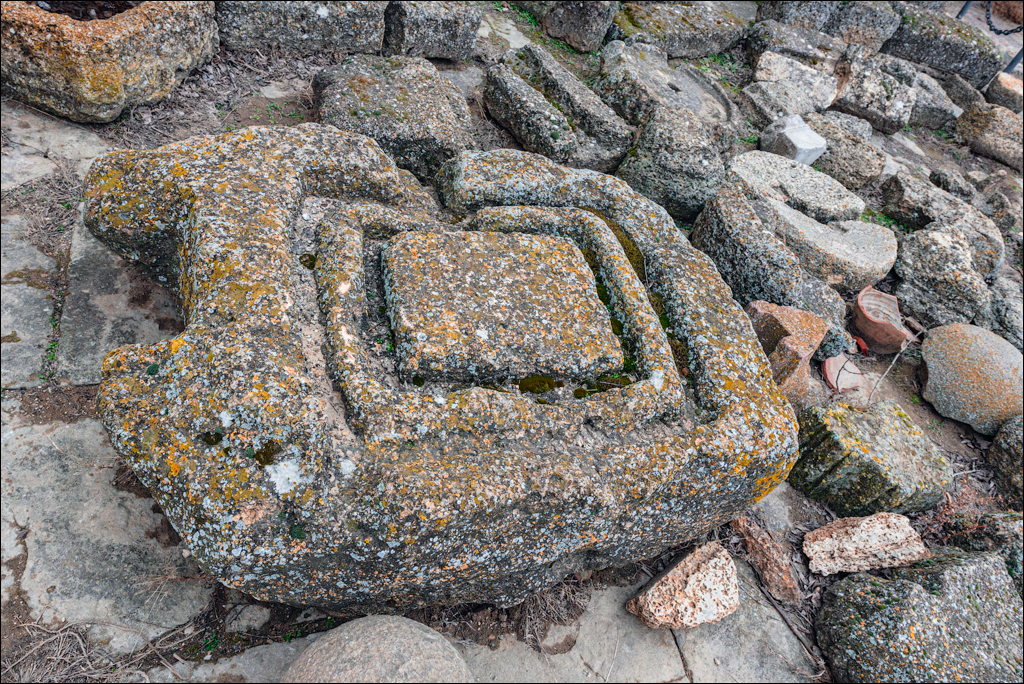 Belgorod Shabo 13feb2022 112