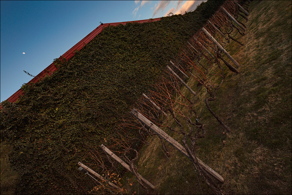 Belgorod Shabo 13feb2022 201