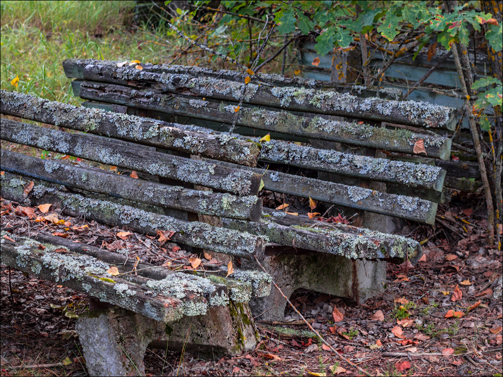 PripyatChernobyl Jun2018 165