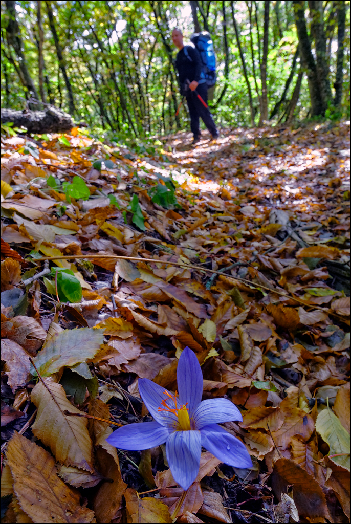 Crimea 201220170305282