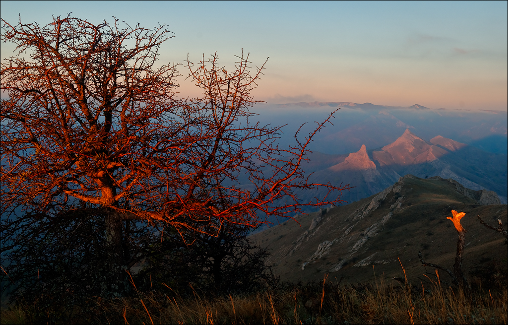 Crimea 201220170305371